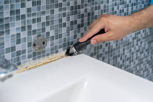 Best Fast Mold Removal  in East Ithaca, NY
