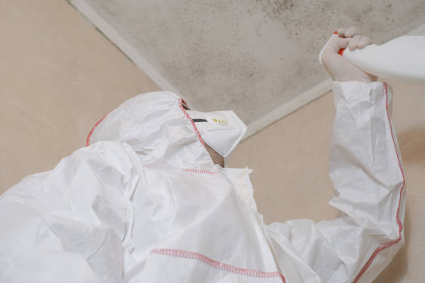 Best Residential Mold Removal  in East Ithaca, NY